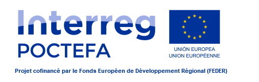 logo-interreg-poctefa-projet-TNSI